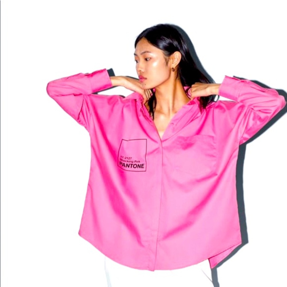 PINK PANTONE-Zara  blouse